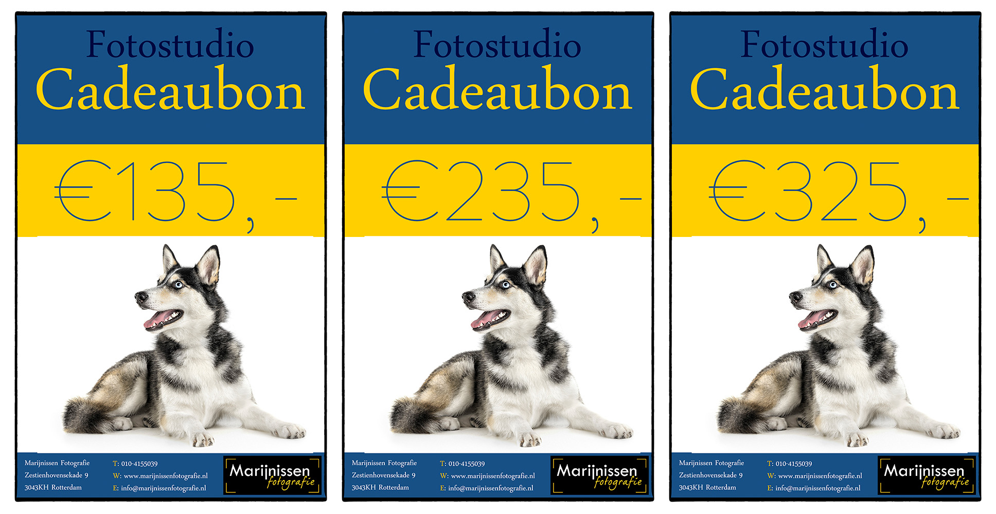 Honden fotoshoot cadeaubon van Fotostudio Marald Marijnissen